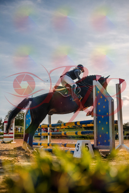 2026_10_03_Siefer-Hof_171508_Z63_21714426 | Professionelle Reitsport-, Turnier- und Eventfotografie von Robert Broda. Galerien mit ausgewählten und bearbeiteten Bildern direkt online ansehen und bestellen.