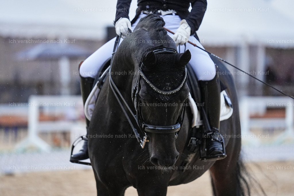 8_2-183-DRESSUR S_  -Marixx-4645 | working equitationturnier fotograf videograf stoibphotography marixx film working equitation deutschland reitsport turnierfotografie eventfotografie equestrian events