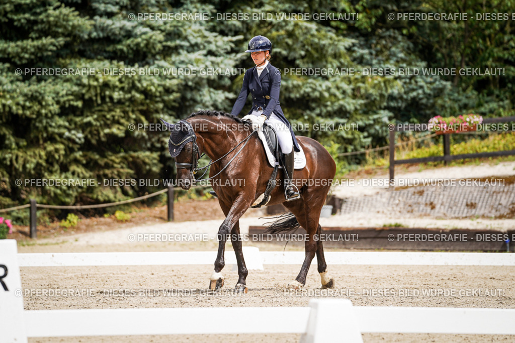 DSC06057 | Pferdegrafie