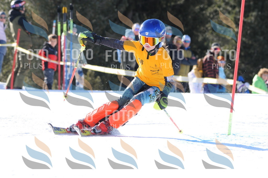 C6939 | holidayphoto