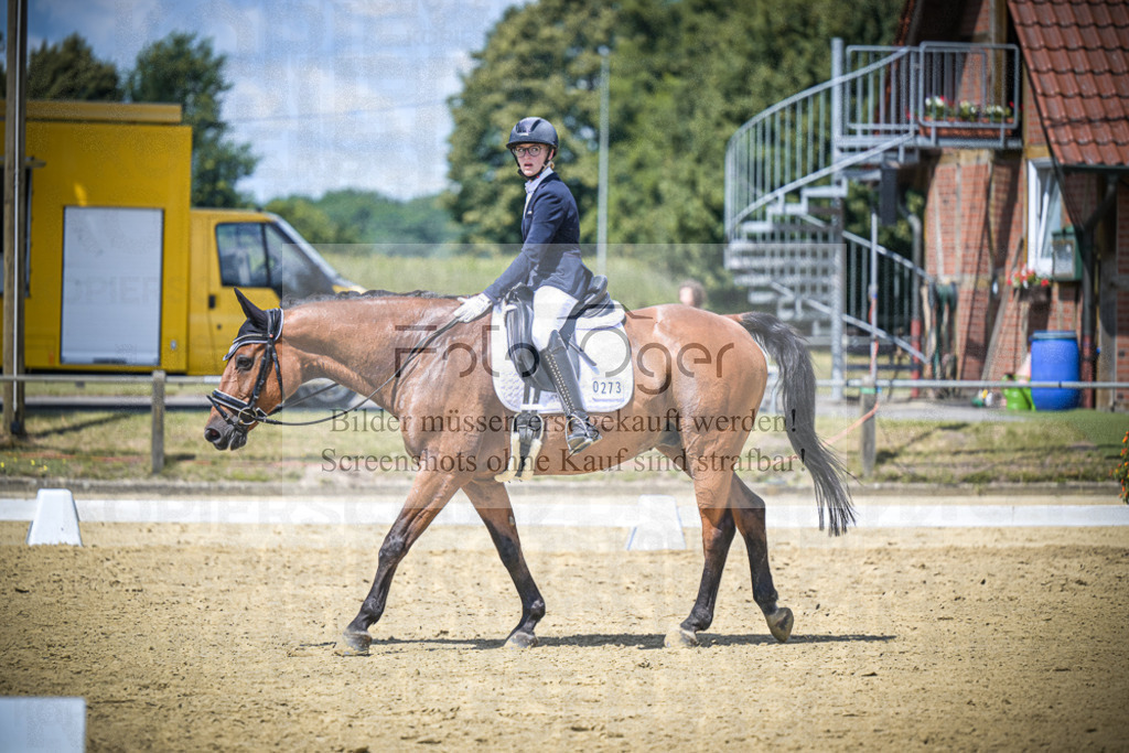DOS_5577 | Entdecke hochwertige Reitturnierfotos von Foto Oger. Professionell, emotional und authentisch – jetzt Lieblingsmomente im Shop bestellen.Deutschlandweite Turnierfotografie. - Realisiert mit Pictrs.com