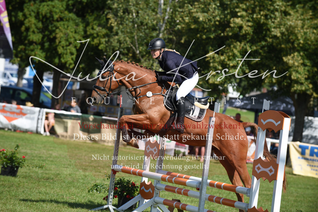 DSC_9222 | Pferde- und Turnierfotografie in Westsachsen. Pferdeportraits, Auftragszeichnungen und intuitive Kunst.