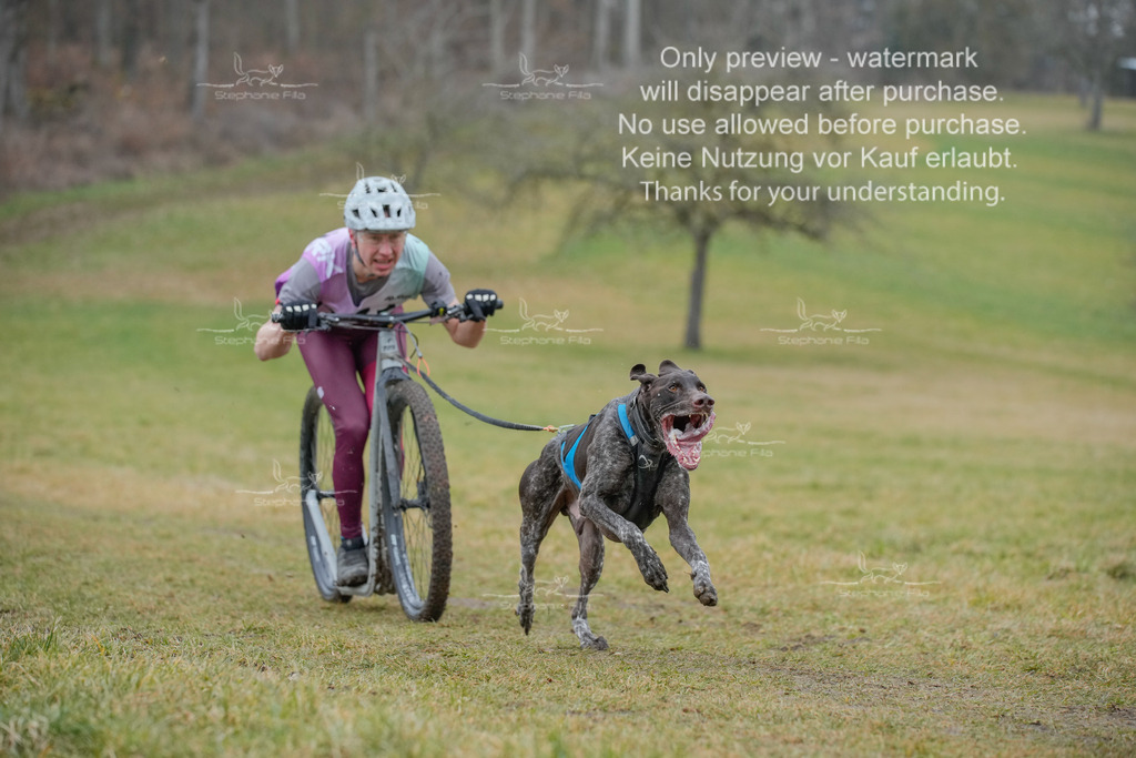 Sa_Scooter1-33 | stephaniefillaphotographie - Realisiert mit Pictrs.com