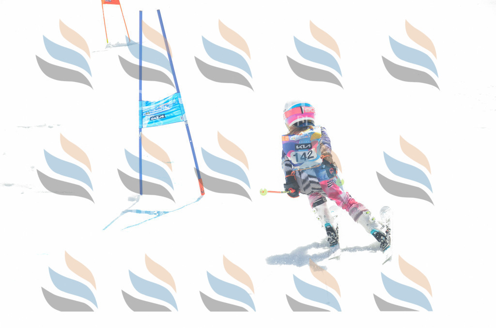 _ELE6241 | holidayphoto