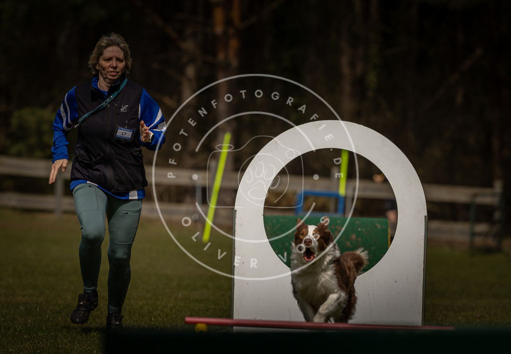 Pfotenfotografie_DV3A5099 | Hundefotografie, Tierfotograf, Pfotenfotografie, Fotoshooting Hund, Hunde Portrait, Hundesport, Hundeportraits, Heideshooting, Hunde, Sportfotograf, Hundefotograf, Turnierhundsport, THS,  - Realisiert mit Pictrs.com