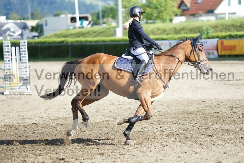 DSC05536 | equestrian-live-com