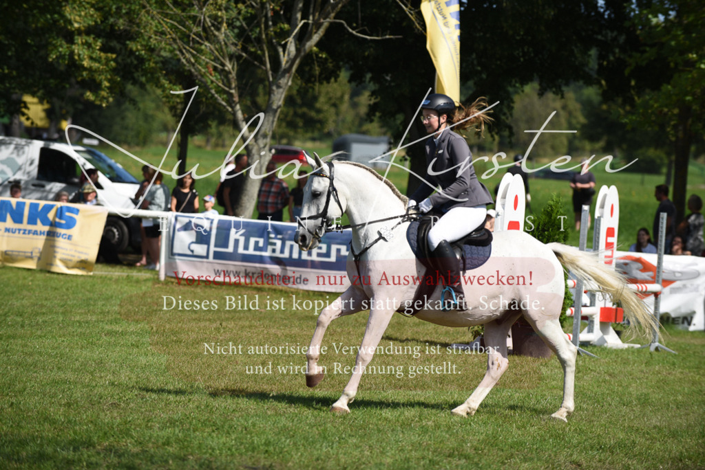 DSC_9153 | Pferde- und Turnierfotografie in Westsachsen. Pferdeportraits, Auftragszeichnungen und intuitive Kunst.