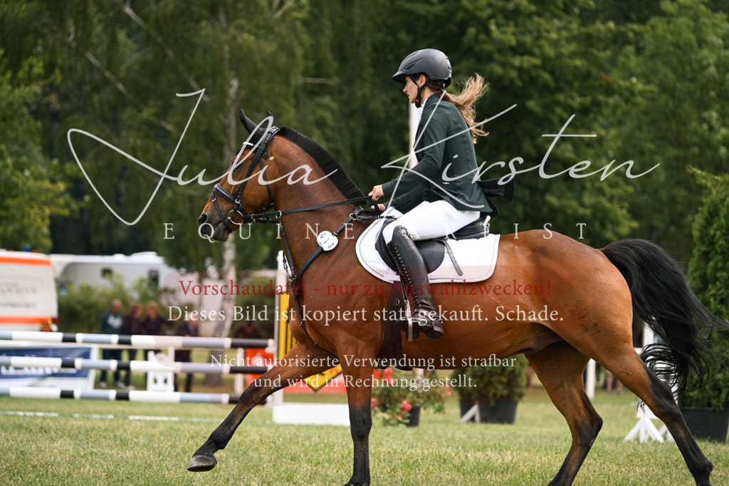 DSC_9140 | Pferde- und Turnierfotografie in Westsachsen. Pferdeportraits, Auftragszeichnungen und intuitive Kunst.
