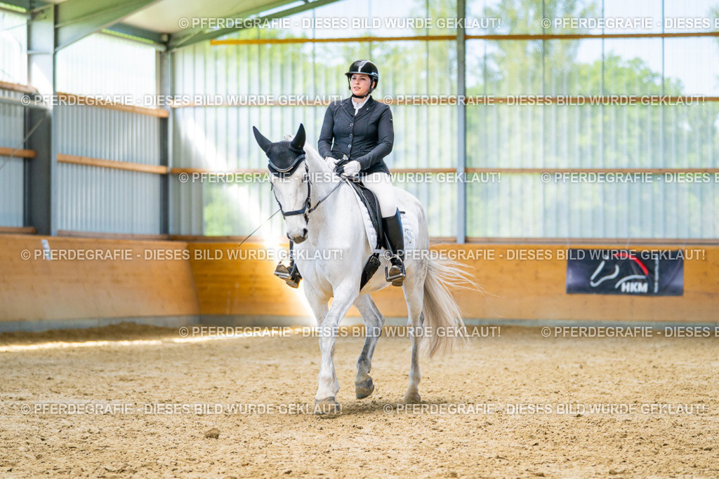 DSC07802 | Pferdegrafie