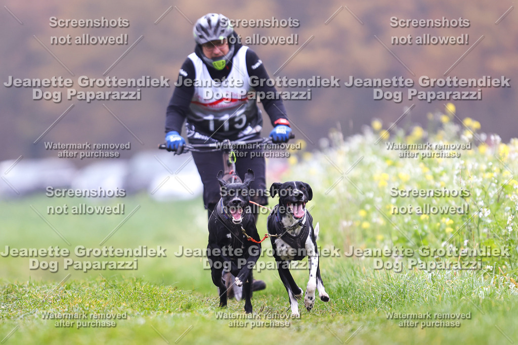 Dog Paparazzi - Visbeck 25 -102 | Dog Paparazzi Jeanette Grottendiek Fotografie & Videografie - Realisiert mit Pictrs.com