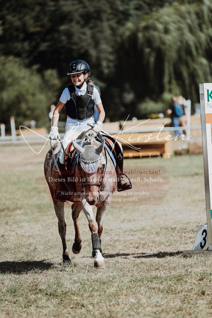 DSC_9764 | Pferde- und Turnierfotografie in Westsachsen. Pferdeportraits, Auftragszeichnungen und intuitive Kunst.