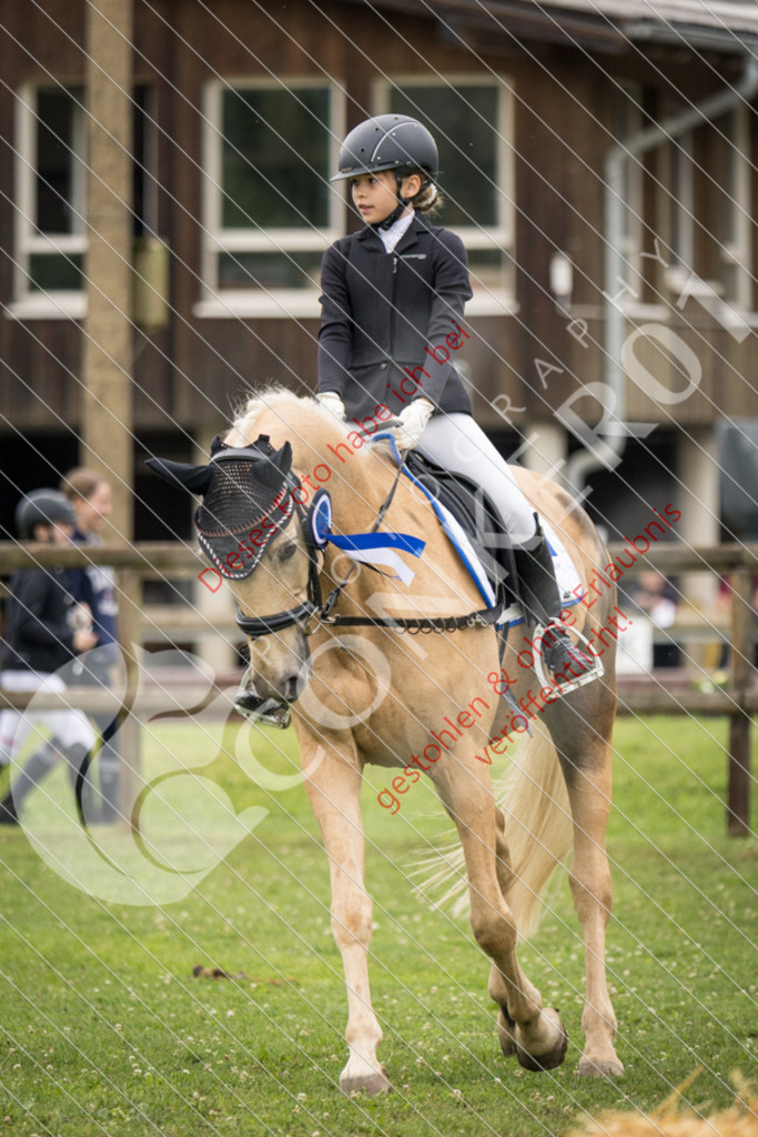 IMG_1957 | Sport-, Event- und Tierfotos in Profiqualität. Einfach auswählen, bestellen und herunterladen. Dein Moment – perfekt festgehalten.