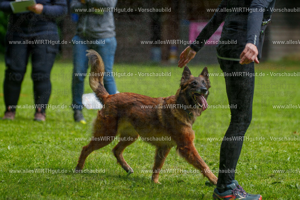 @allesWIRTHgut_Tierfotografie - www.allesWIRTHgut.de - 7R503756 | Professionelle Tierfotografie in Mönchengladbach von Daniel Wirth (allesWIRTHgut). Liebevolle & natürliche Bilder von Hunden & Katzen für unvergessliche Erinnerungen.