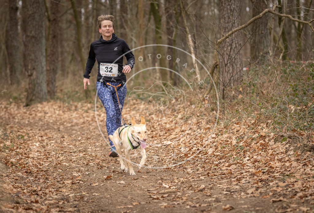 Pfotenfotografie_DV3A9441 | Hundefotografie, Tierfotograf, Pfotenfotografie, Fotoshooting Hund, Hunde Portrait, Hundesport, Hundeportraits, Heideshooting, Hunde, Sportfotograf, Hundefotograf, Turnierhundsport, THS,  - Realisiert mit Pictrs.com