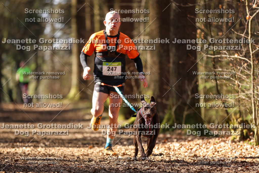 Dog Paparazzi - VCC26-1086 | Dog Paparazzi Jeanette Grottendiek Fotografie & Videografie - Realisiert mit Pictrs.com