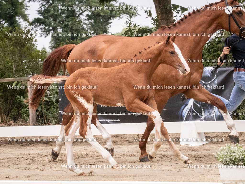 A10I9759 | photographylinaismer - Realisiert mit Pictrs.com