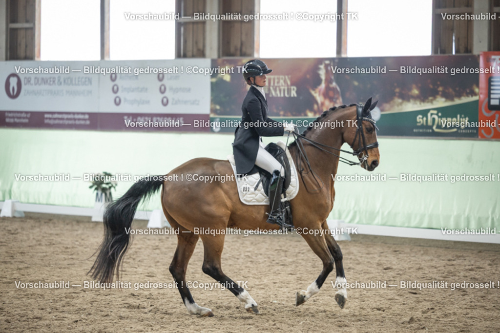 _D5A6237 | Emotionale Pferde- & People-Fotografie rund um Heidelberg, Leimen & Umgebung. Natürliche Fotos von Pferd, Mensch & Familie. Jetzt Termin sichern!