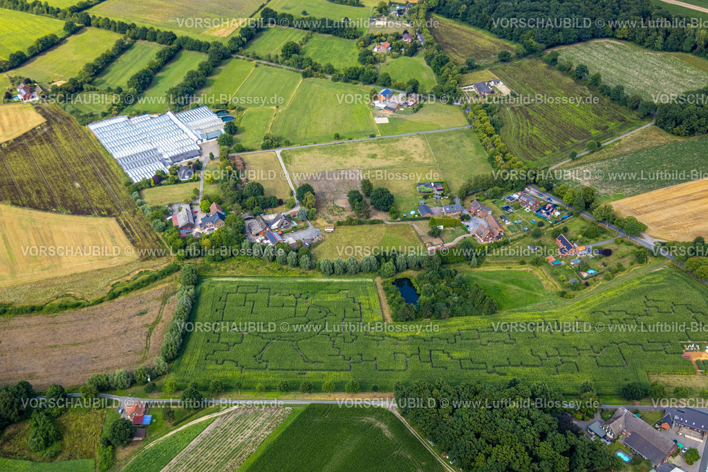 Hamm250706025West | Luftbild, Maisfeld Irrgarten Labyrinth mit Vogelmotiv Feldvogel Kiebitz am Hof Schulze Blasum, Gewächshaus, Stockum, Werne, Ruhrgebiet, Nordrhein-Westfalen, Deutschland