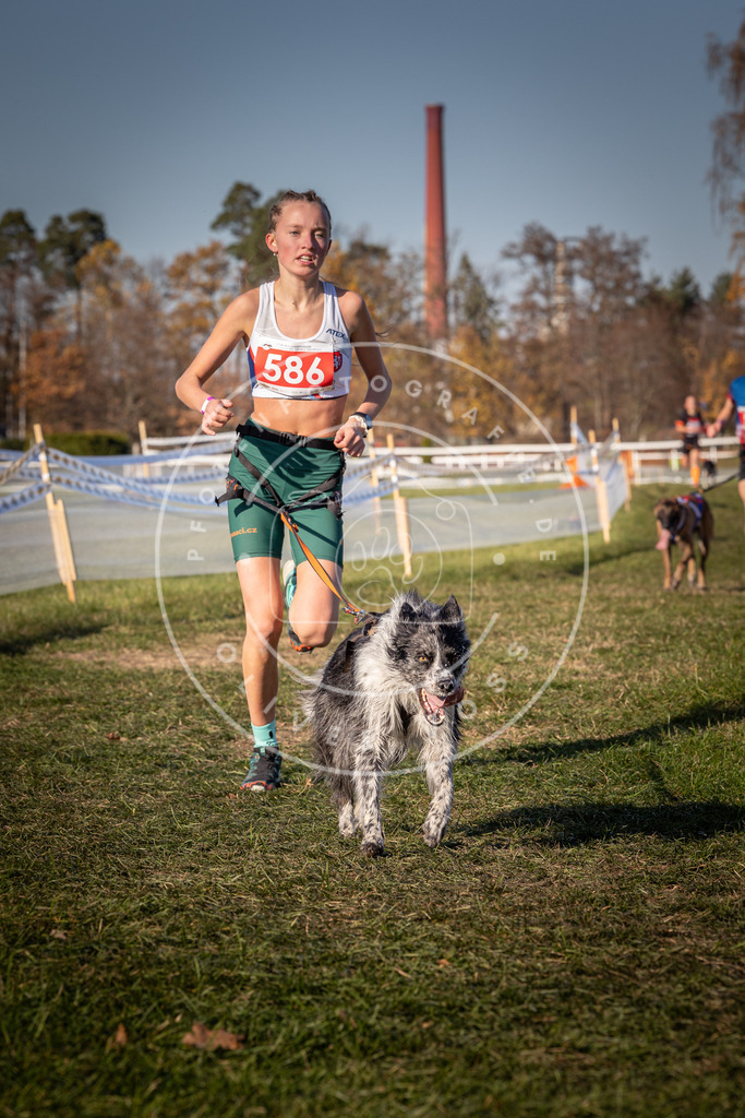 CaniXpix_0L8A8279 | Hundefotografie, Tierfotograf, Pfotenfotografie, Fotoshooting Hund, Hunde Portrait, Hundesport, Hundeportraits, Heideshooting, Hunde, Sportfotograf, Hundefotograf, Turnierhundsport, THS,  - Realisiert mit Pictrs.com