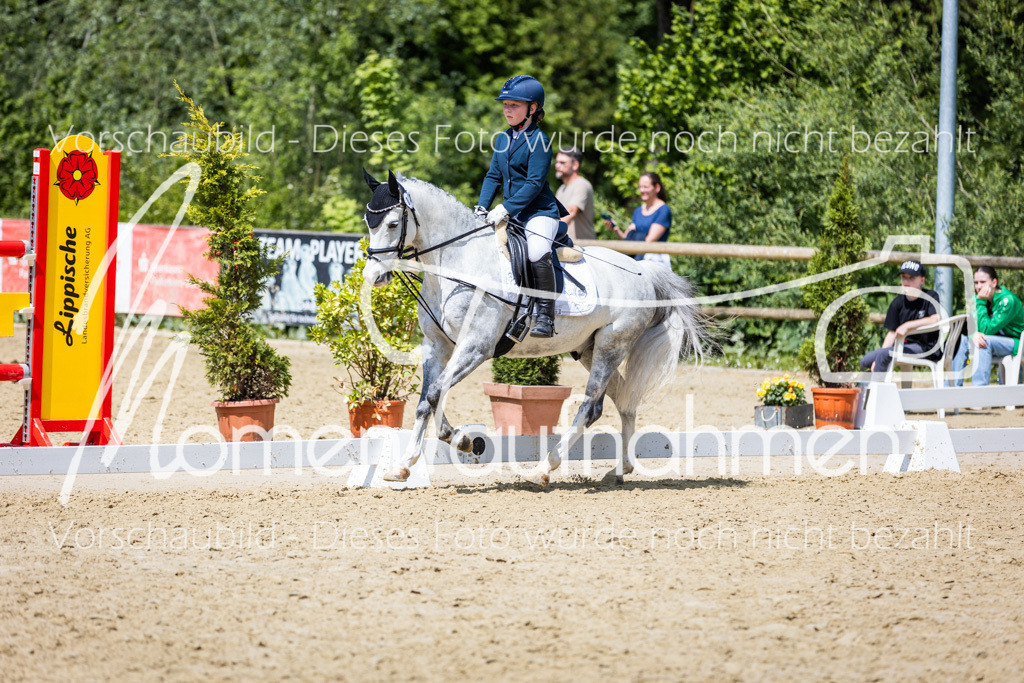 Donop24-RWB-056 | MomenTaufnahmen Pferdesportfotos