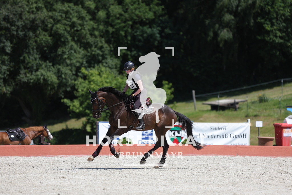 0P6A3725 | Willkommen bei Brunnmayr - Design & Fotografie – Ihrem Spezialisten für Reitturniere und Pferdeveranstaltungen in Oberösterreich, Salzburg und Bayern! Seit über 17 Jahren sind wir leidenschaftlich dabei.