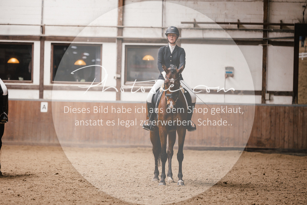 3I6A7466 | Stimmungsvolle Portraits und Reitsportfotografie im Ruhrgebiet und im Münsterland.

Pferdefotografie, Hundefotografie, Tierfotografie, Reportagen, Portraits von Tier und Mensch, Turnierfotografie in Bochum, Recklinghausen, Marl, Haltern am See, Dülmen.. - Realisiert mit Pictrs.com