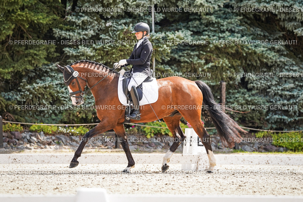 DSC08978 | Pferdegrafie