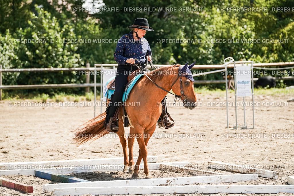 DSC06763 | Pferdegrafie