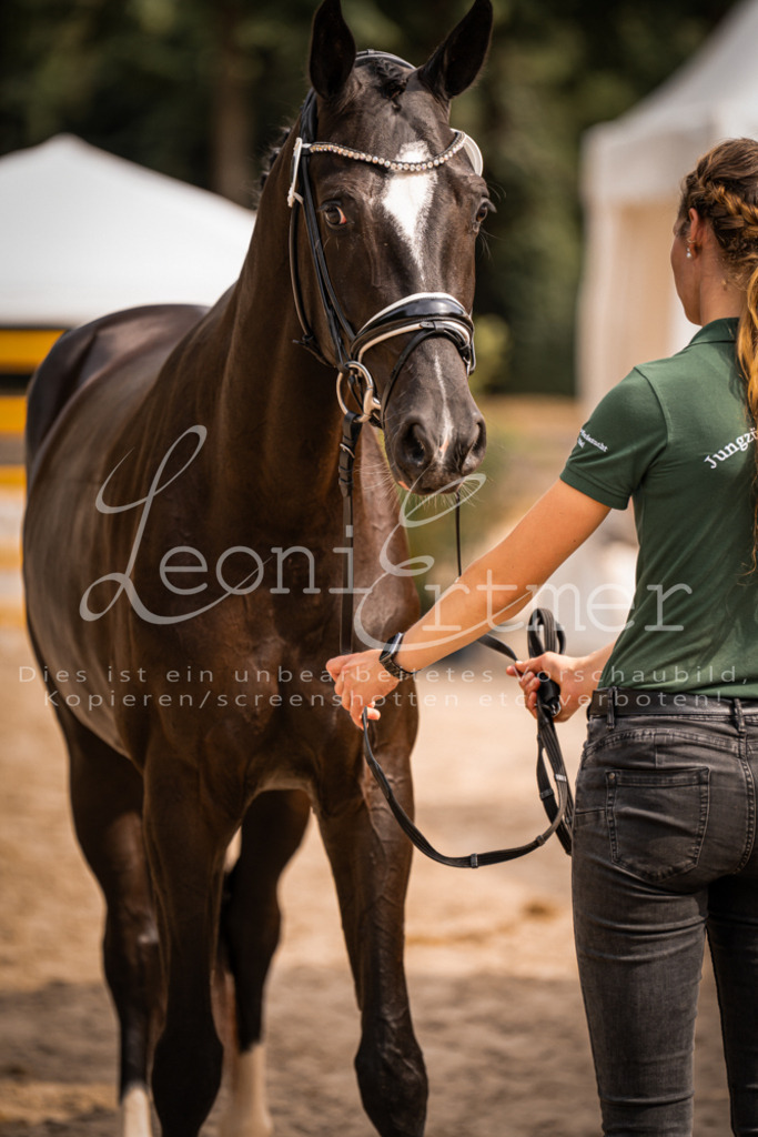 7.Fr00122 | Leoni Ertmer Photography - Realisiert mit Pictrs.com