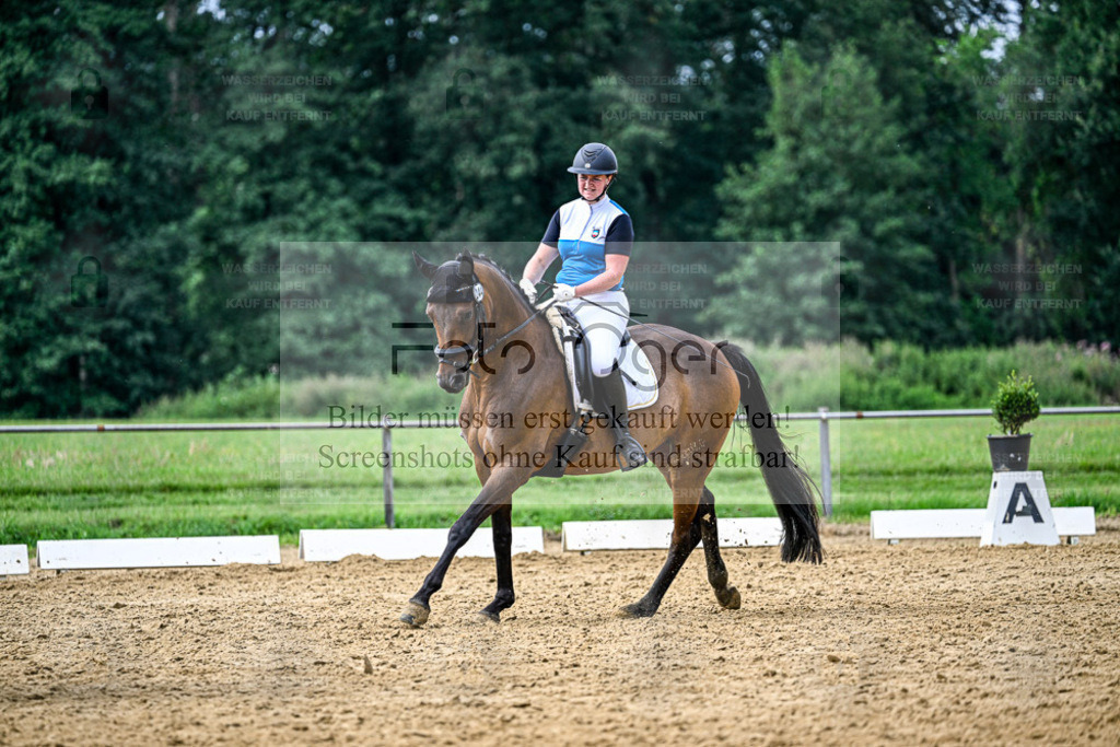 Reitturnier Hasbergen | Entdecke hochwertige Reitturnierfotos von Foto Oger. Professionell, emotional und authentisch – jetzt Lieblingsmomente im Shop bestellen. - Realisiert mit Pictrs.com