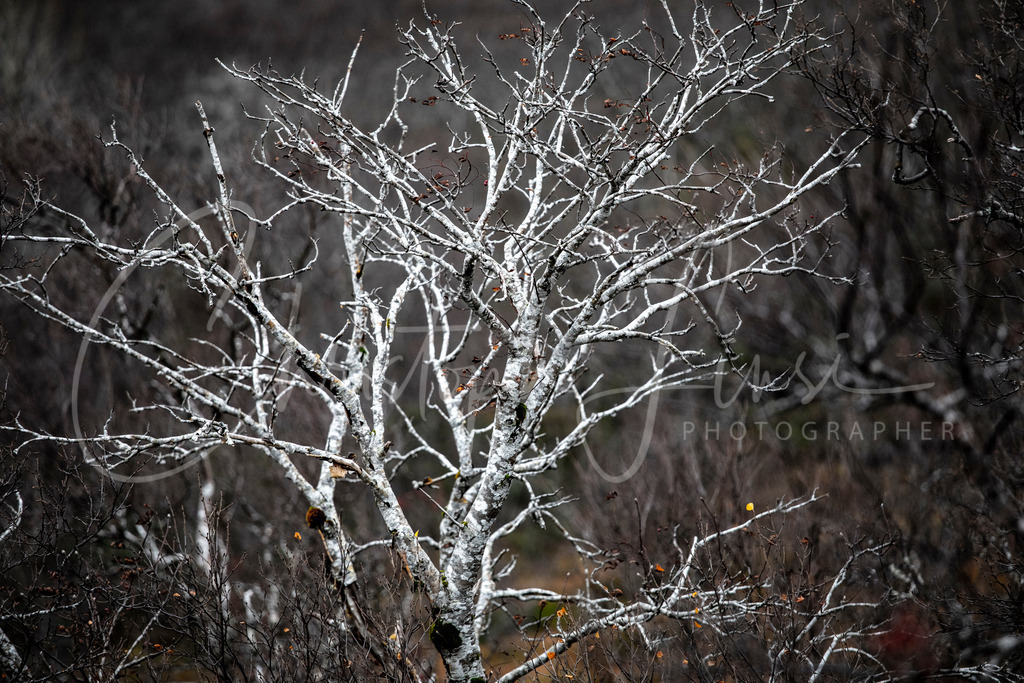 IMG_2559 | Landschaftsfotografie Akt nude landsape fotografie - Realisiert mit Pictrs.com