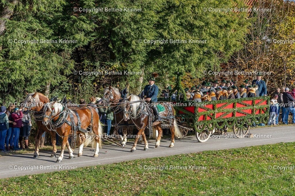 LBT25-144 | foto-bettina-krinner - Realisiert mit Pictrs.com