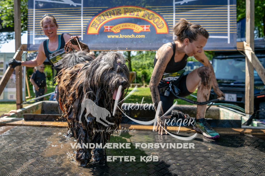 1228_ZZ91265 | kk-dogfotos