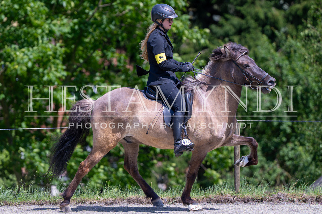KAI02886 | Ihr sucht einen Fotografen für eure nächste OSI? Ich begleite auch euer Turnier für Islandpferde fotografisch.  - Realisiert mit Pictrs.com