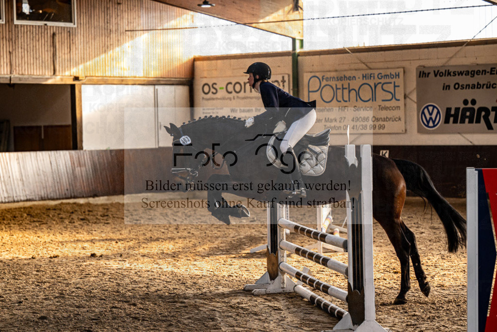 20240308-DOS_2638 | Entdecke hochwertige Reitturnierfotos von Foto Oger. Professionell, emotional und authentisch – jetzt Lieblingsmomente im Shop bestellen.Deutschlandweite Turnierfotografie. - Realisiert mit Pictrs.com