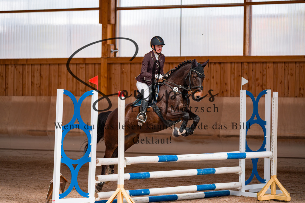 A7507468 | Pferdefotograf