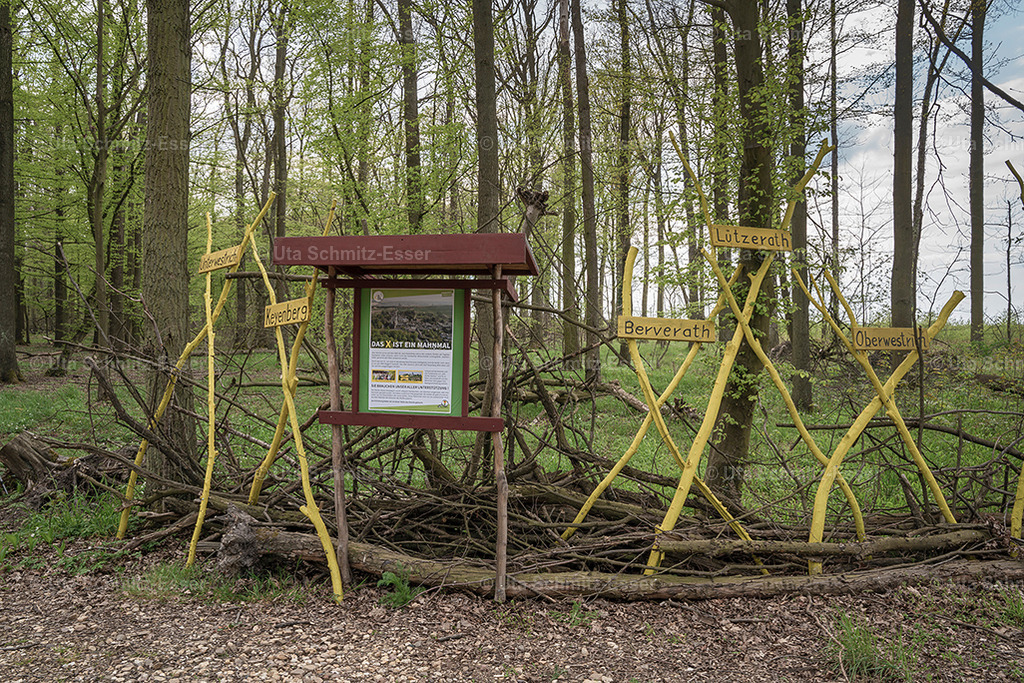 Hambacher-Forst_01 | CEUS Design - Realisiert mit Pictrs.com