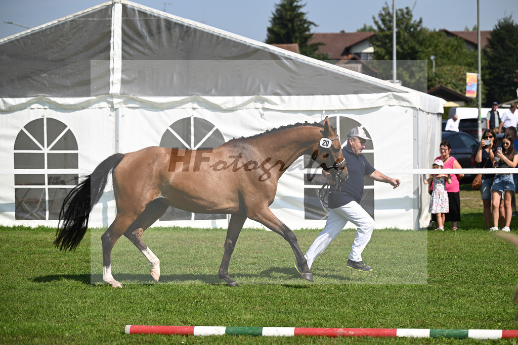 Kat-Nr. 20 Alice M_Mayer_34240480 | hf-fotografie - Realisiert mit Pictrs.com
