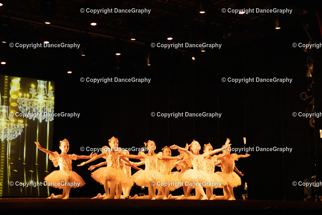 GPHY4554 | DanceGraphy - Realisiert mit Pictrs.com