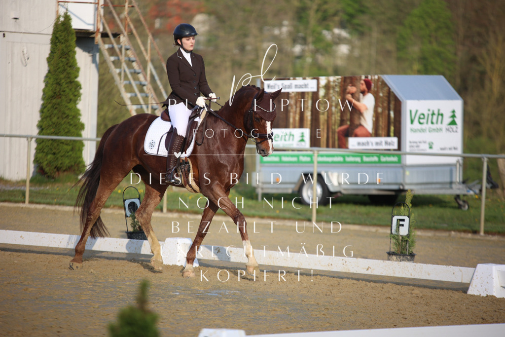 IMGT9120 | pl-fotografie