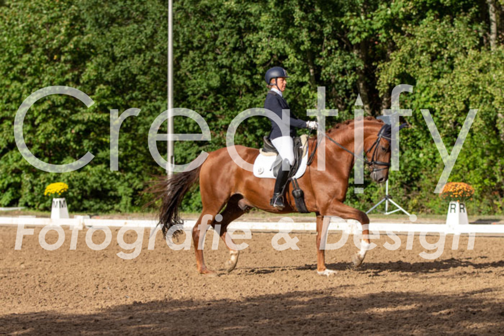 IMG_4701 | Creatify Fotografie