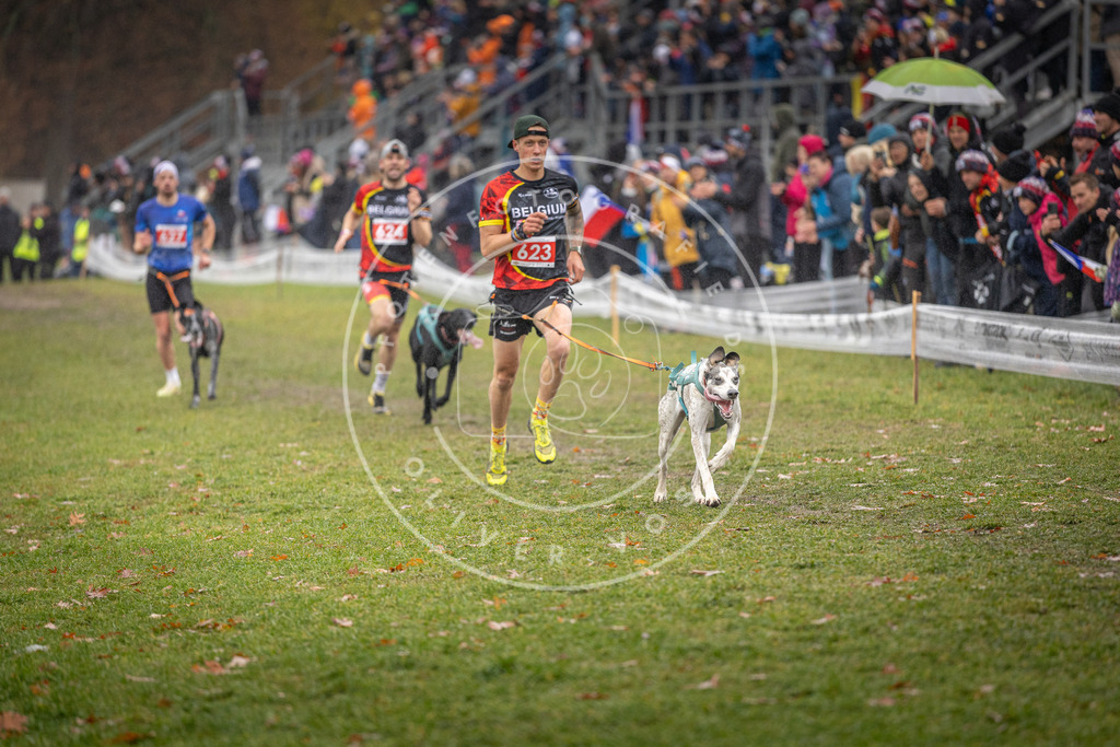 CaniXpix_DV3A9655 | Hundefotografie, Tierfotograf, Pfotenfotografie, Fotoshooting Hund, Hunde Portrait, Hundesport, Hundeportraits, Heideshooting, Hunde, Sportfotograf, Hundefotograf, Turnierhundsport, THS,  - Realisiert mit Pictrs.com