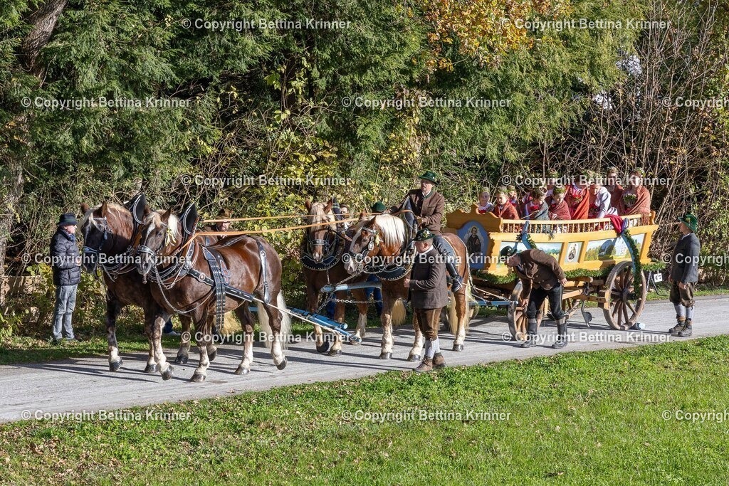LBT24-613 | foto-bettina-krinner - Realisiert mit Pictrs.com