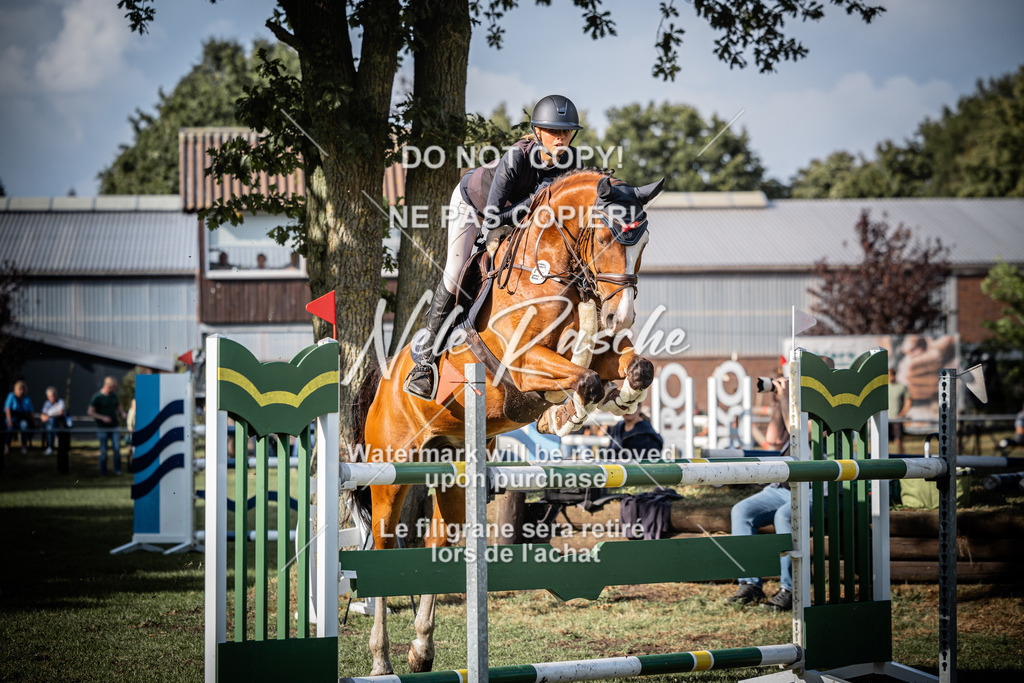 nelerasche_SprM_120Ede_81 | nelerasche