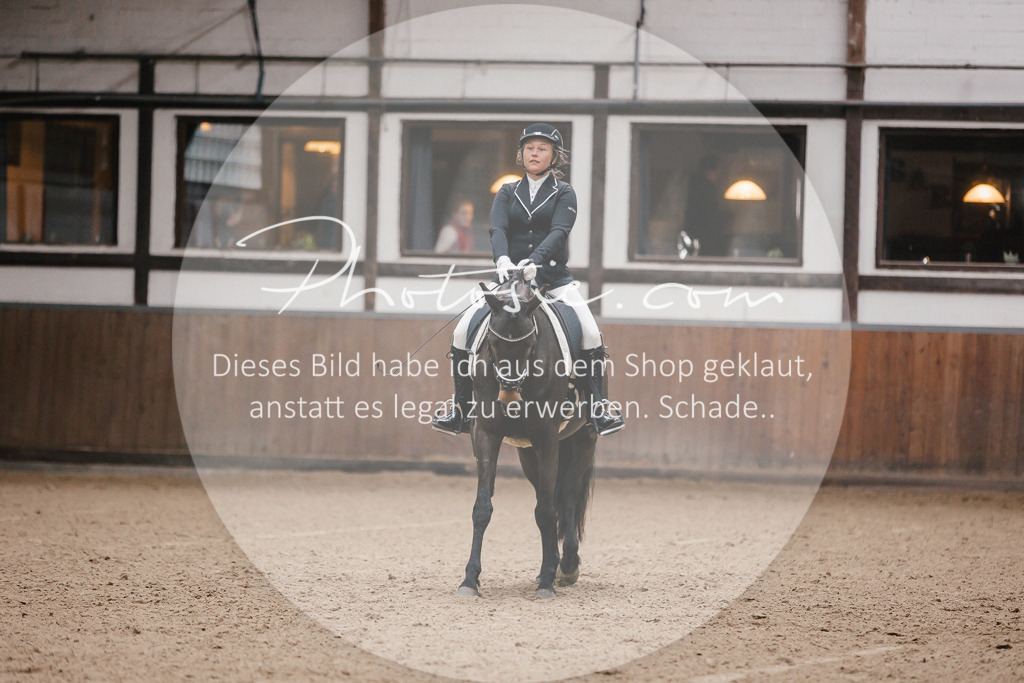3I6A6505 | Stimmungsvolle Portraits und Reitsportfotografie im Ruhrgebiet und im Münsterland.

Pferdefotografie, Hundefotografie, Tierfotografie, Reportagen, Portraits von Tier und Mensch, Turnierfotografie in Bochum, Recklinghausen, Marl, Haltern am See, Dülmen.. - Realisiert mit Pictrs.com