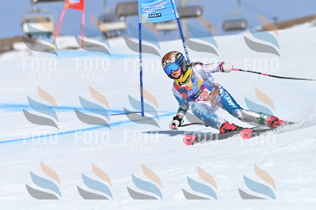 BGV_9918 | holidayphoto