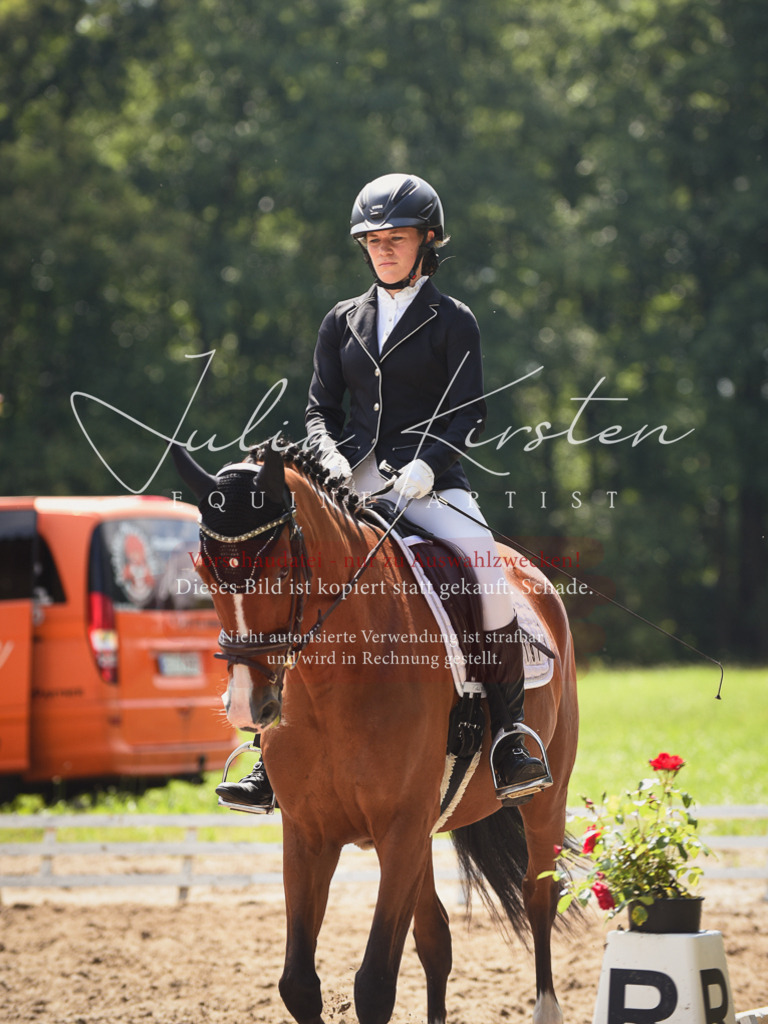 DSC_0896 | Pferde- und Turnierfotografie in Westsachsen. Pferdeportraits, Auftragszeichnungen und intuitive Kunst.