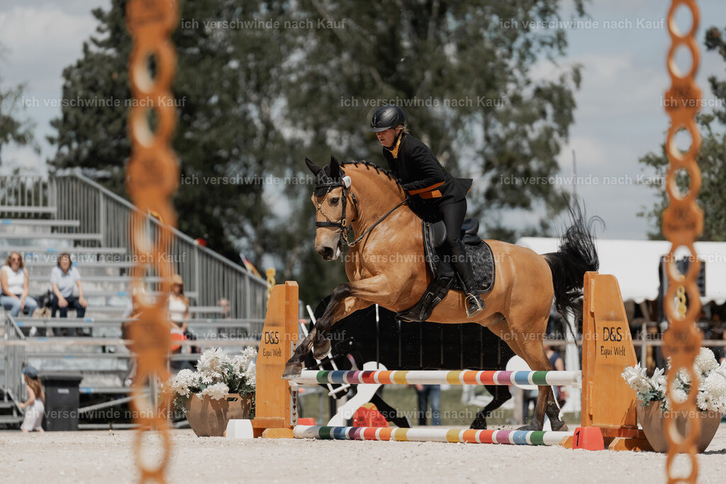 WE_ST_Stoib_319_PI2025_1286 | Pferd International München 2025