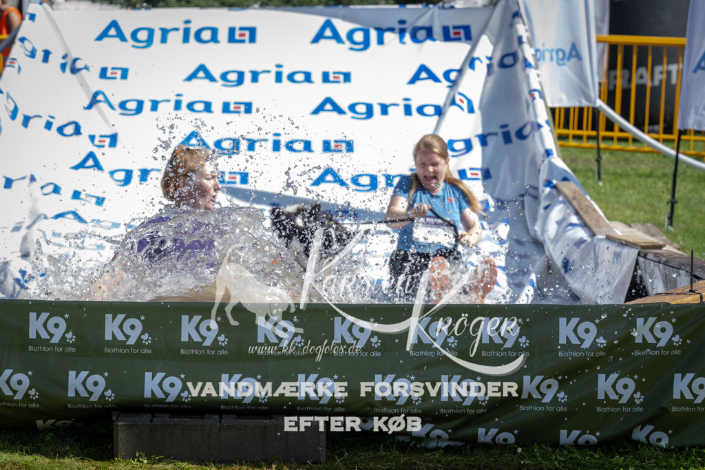 1132_ZZ92458 | kk-dogfotos