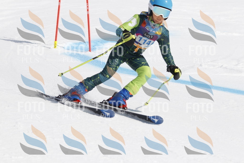 _U3G0589 | holidayphoto